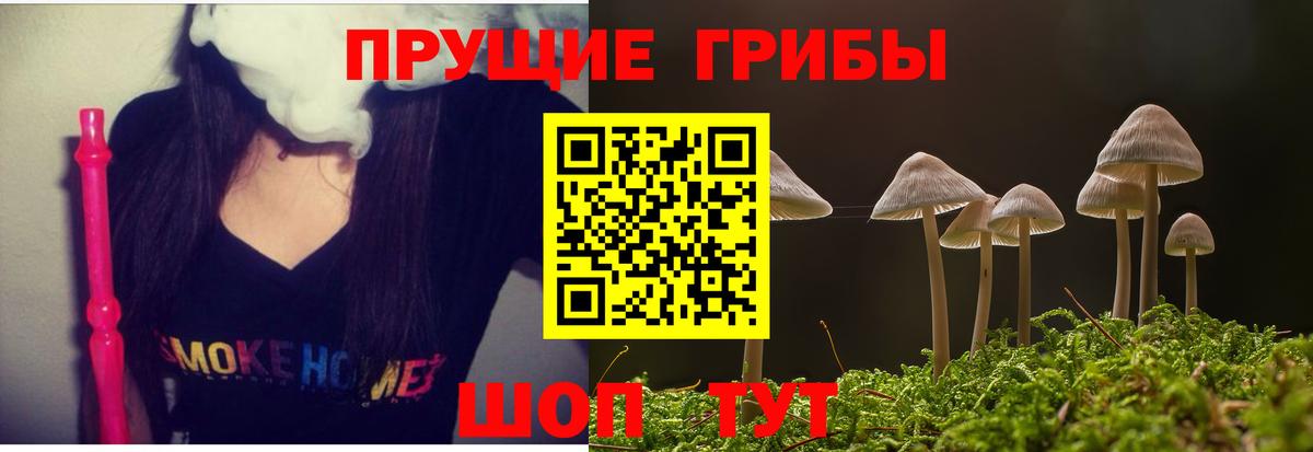Севастополь  Псилоцибиновые грибы мухоморы  как найти   Псилоцибиновые грибы мухоморы  Вход с VPN 